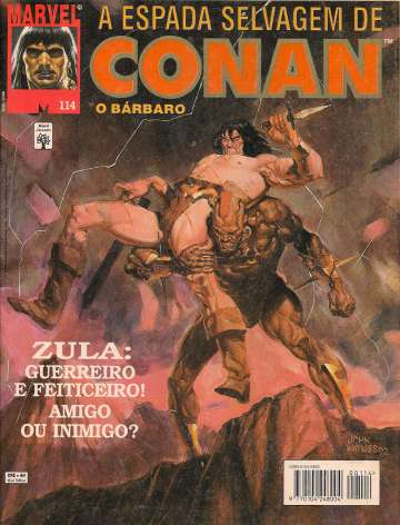 A Espada Selvagem de Conan 114