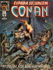 A Espada Selvagem de Conan 80