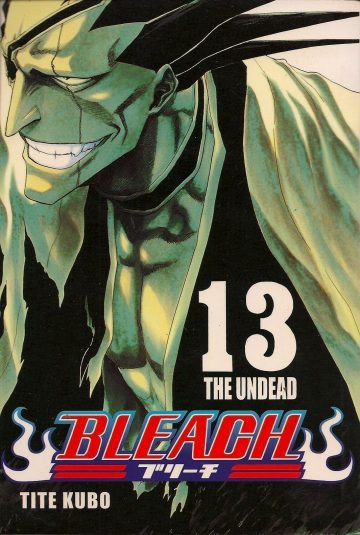Bleach 13