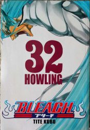 Bleach 32