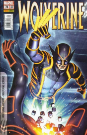 Wolverine – 1a Série (Panini) – (Capa Variante) 74