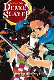 Demon Slayer – Kimetsu No Yaiba 1