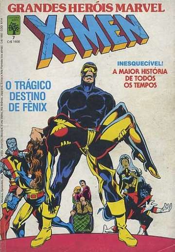 Grandes Heróis Marvel - 1ª Série 7